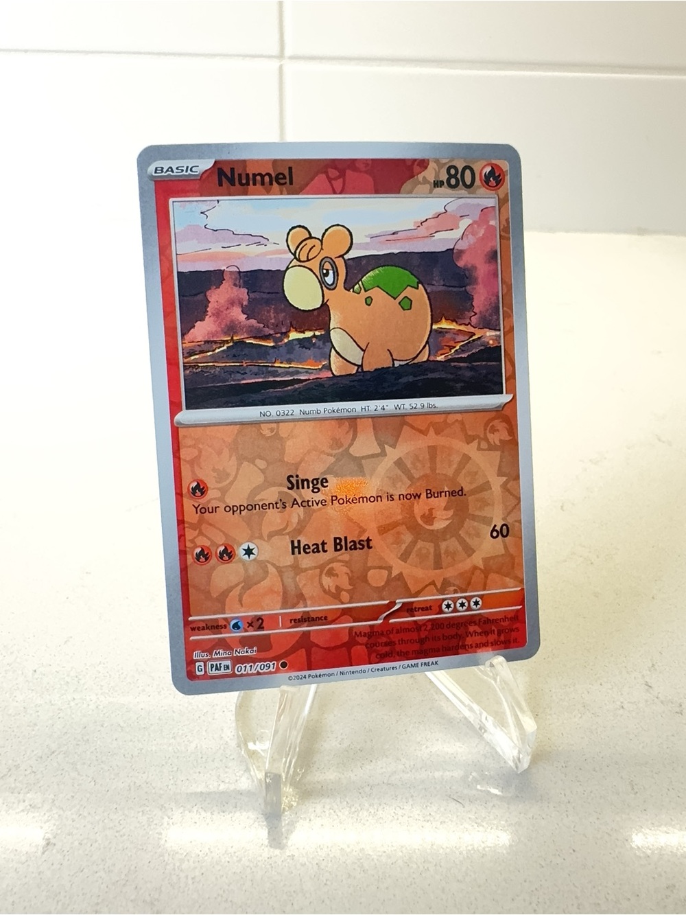 Pokemon TCG Card -  Numel [Reverse Holo] #11 Pokemon Paldean Fates